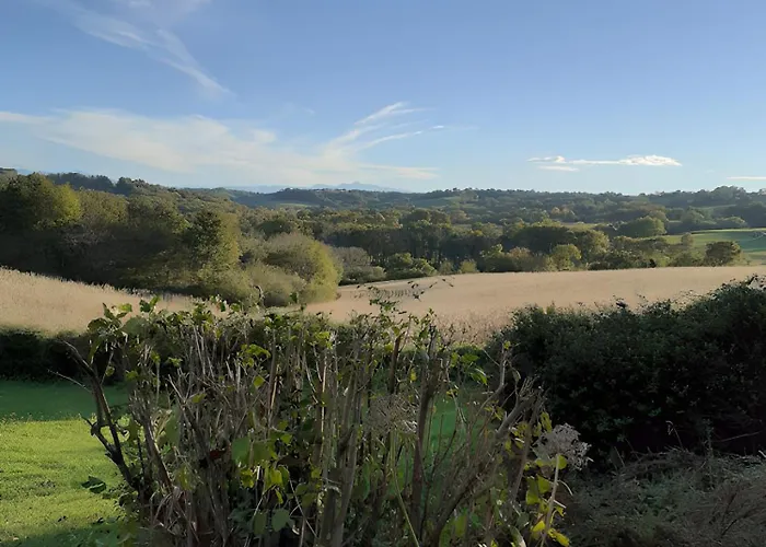 L'authentique Maison Bearnaise *